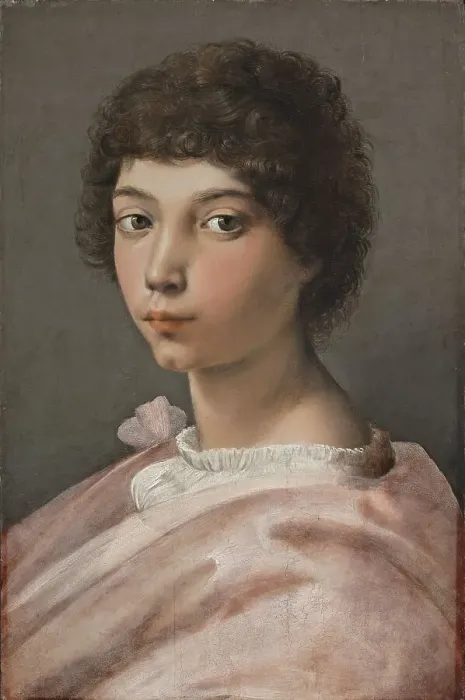 Framed Print : Portrait of a Young Man, 1518. Creator: Raphael Framed Print : Portrait of a Young Man, 1518. Creator: Raphael