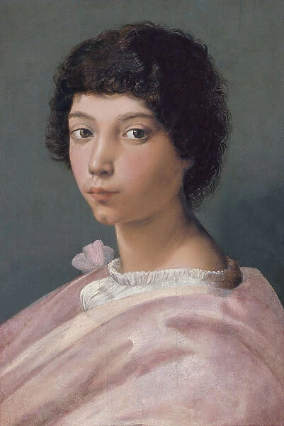 Portrait of a young Man. Artist: Raphael (1483-1520)