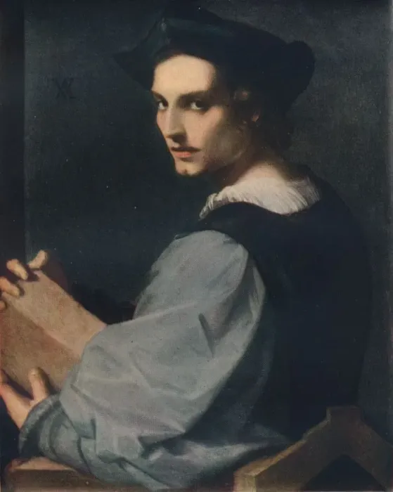 Framed Print : Portrait of a Young Man, c1517, (1911). Artist: Andrea del Sarto Framed Print : Portrait of a Young Man, c1517, (1911). Artist: Andrea del Sarto