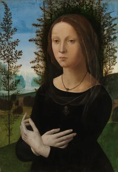 Framed Print : Portrait of a Young Woman, ca. 1490-1500. Creator: Lorenzo di Credi Framed Print : Portrait of a Young Woman, ca. 1490-1500. Creator: Lorenzo di Credi