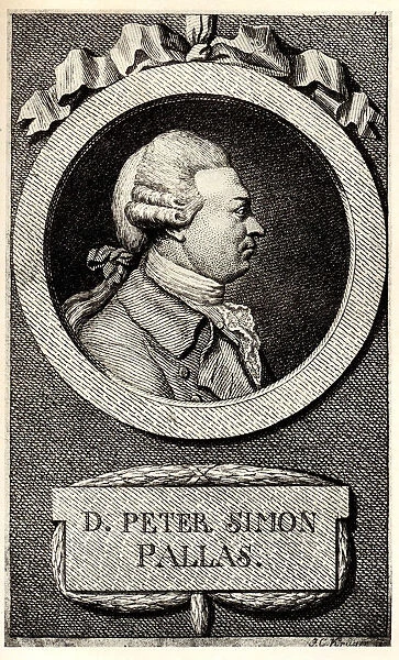 Portrait of the zoologist and botanist Peter Simon Pallas (1741-1811), Early 19th cen Artist: Anonymous