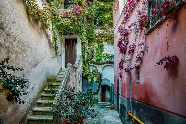 Positano Garden, Italy. Creator: Viet Chu