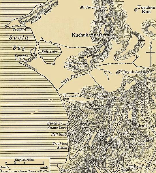 Positions of ANZAC forces on the Gallipoli peninsula in Turkey, First World War, July 1915