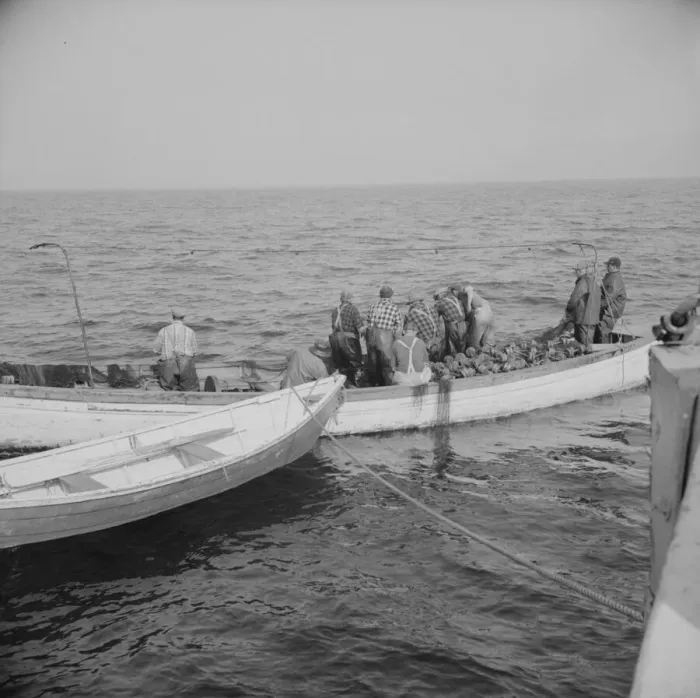 Framed Print : Possibly: On board the fishing boat Alden, out of Gloucester, Massachusetts, 1943. Creator: Gordon Parks