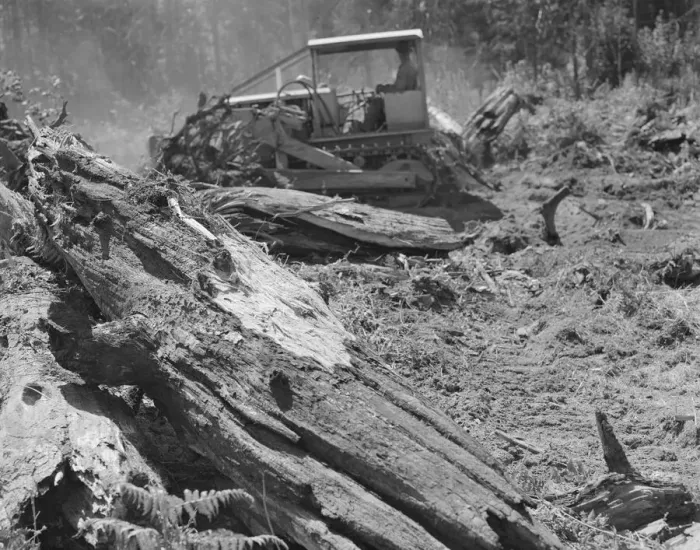 Framed Print : Possibly: Bulldozer equipped with grader... near Vader, Lewis County, Western Washington, 1939. Creator: Dorothea Lange Framed Print : Possibly: Bulldozer equipped with grader... near Vader, Lewis County, Western Washington, 1939. Creator: Dorothea Lange