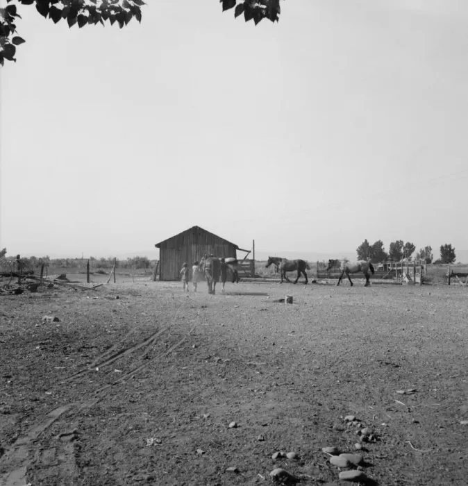 Framed Print : Possibly: Chris Adolf, his team, and... children on their new farm, Washington, Yakima Valley, 1939. Creator: Dorothea Lange Framed Print : Possibly: Chris Adolf, his team, and... children on their new farm, Washington, Yakima Valley, 1939. Creator: Dorothea Lange
