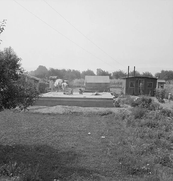 Possibly: Close-up of present dwelling from which family will move... near Yakima, Washington, 1939 Creator: Dorothea Lange