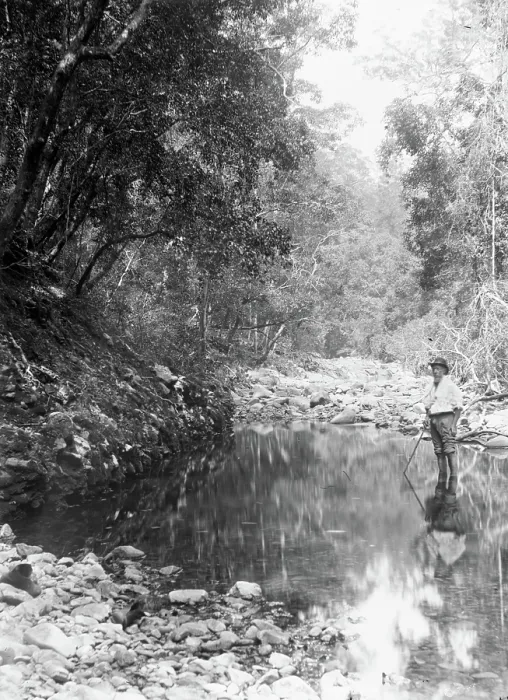 Framed Print : Possibly Coomera River - Upper Commera (Frederick John Walker), c1880s Framed Print : Possibly Coomera River - Upper Commera (Frederick John Walker), c1880s