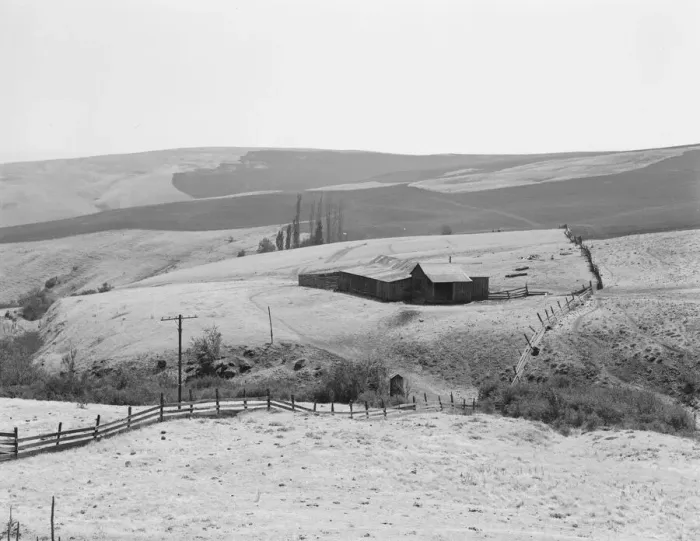 Framed Print : Possibly: Desert stock farm, south central Washington, in region... land has been overgrazed, 1939. Creator: Dorothea Lange Framed Print : Possibly: Desert stock farm, south central Washington, in region... land has been overgrazed, 1939. Creator: Dorothea Lange