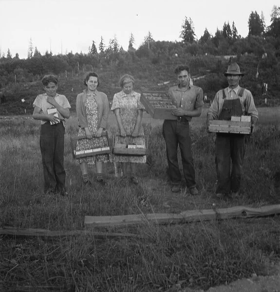 Possibly: This family, like others in the area, raise strawberries... near Tenino, Washington, 1939 Creator: Dorothea Lange