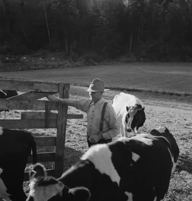 Framed Print : Possibly: Farmer brings his team up from... near Centralia, Lewis County, Western Washington, 1939. Creator: Dorothea Lange Framed Print : Possibly: Farmer brings his team up from... near Centralia, Lewis County, Western Washington, 1939. Creator: Dorothea Lange