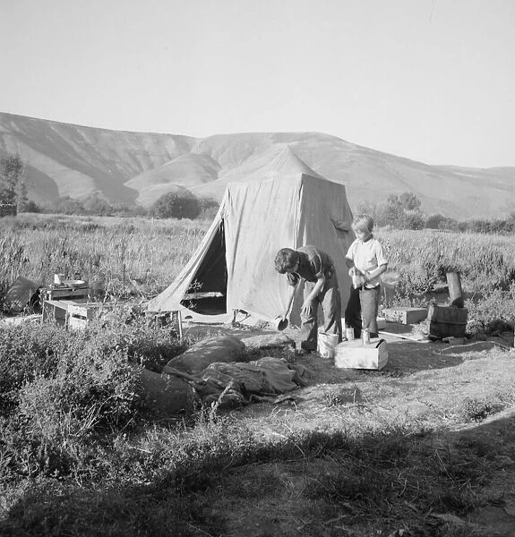 Possibly: Fatherless migratory family camped behind gas station, Yakima Valley, Washington, 1939. Creator: Dorothea Lange