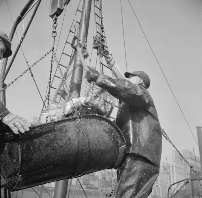 Framed Print : Possibly: Filling a barrel with codfish at the Fulton fish market, New York, 1943. Creator: Gordon Parks Framed Print : Possibly: Filling a barrel with codfish at the Fulton fish market, New York, 1943. Creator: Gordon Parks