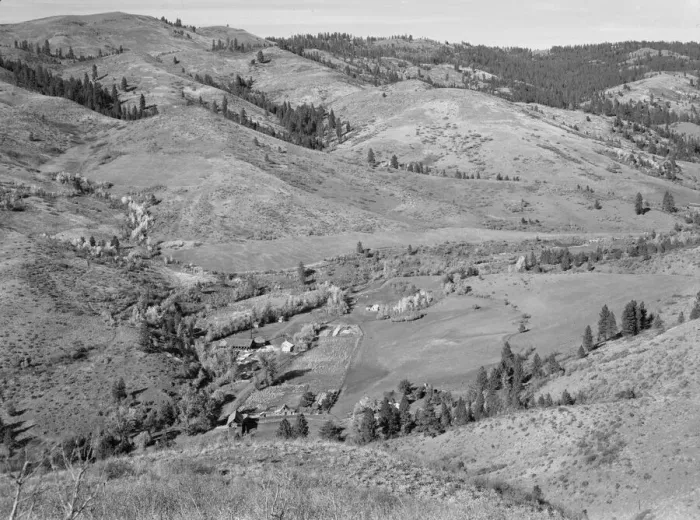 Framed Print : Possibly: Looking down on Ola self-help co-op mill showing the upper end... Gem County, Idaho, 1939 Creator: Dorothea Lange Framed Print : Possibly: Looking down on Ola self-help co-op mill showing the upper end... Gem County, Idaho, 1939 Creator: Dorothea Lange