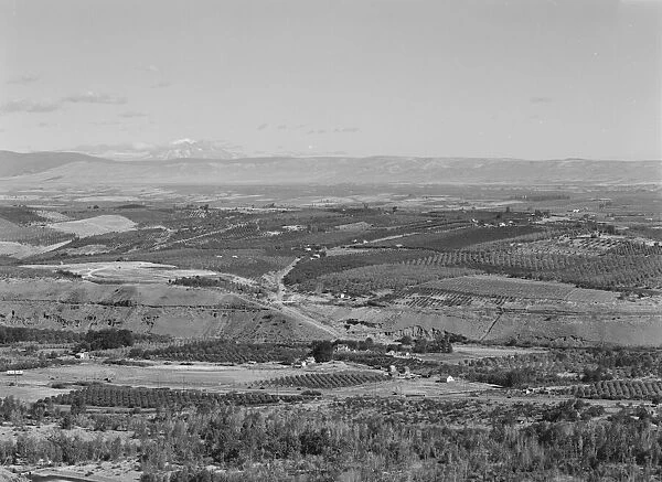 Possibly: Looking down on part of the Valley, approximately six miles from Yakima, Washington, 1939. Creator: Dorothea Lange