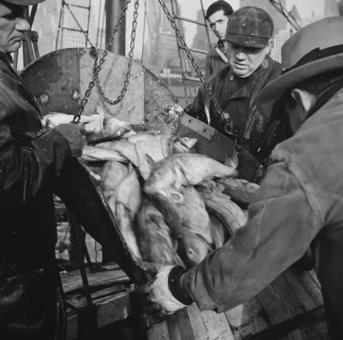 Framed Print : Possibly: New England fishermen unloading fish at Fulton fish market, New York, 1943. Creator: Gordon Parks Framed Print : Possibly: New England fishermen unloading fish at Fulton fish market, New York, 1943. Creator: Gordon Parks