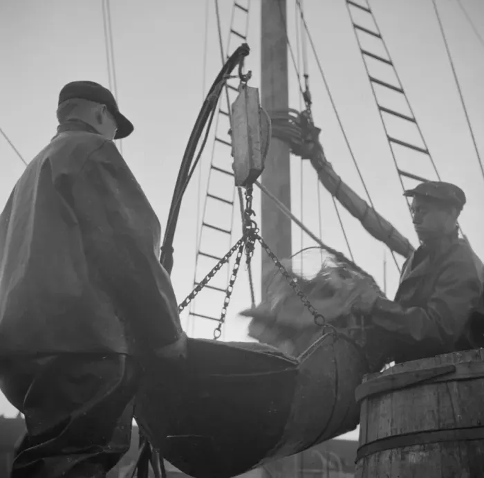 Framed Print : Possibly: New England fishermen unloading fish at the Fulton fish market, New York, 1943. Creator: Gordon Parks Framed Print : Possibly: New England fishermen unloading fish at the Fulton fish market, New York, 1943. Creator: Gordon Parks