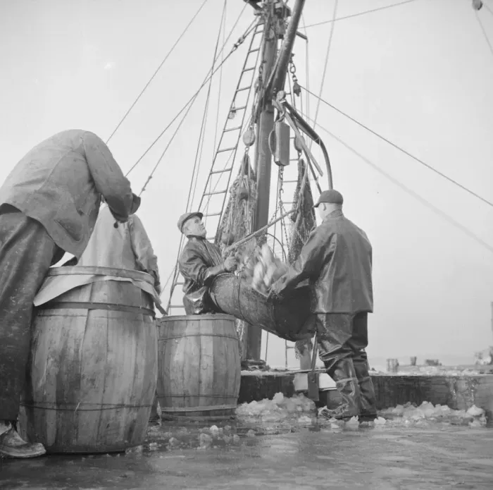 Framed Print : Possibly: New England fishermen unloading fish at the Fulton fish market, New York, 1943. Creator: Gordon Parks Framed Print : Possibly: New England fishermen unloading fish at the Fulton fish market, New York, 1943. Creator: Gordon Parks