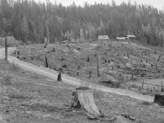 Framed Print : Possibly: New settlers shack at foot of hills on poor sandy soil, Boundary County, Idaho, 1939. Creator: Dorothea Lange