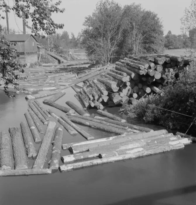 Framed Print : Possibly: Small sawmill on the Marys River near Corvallis, Oregon, 1939. Creator: Dorothea Lange Framed Print : Possibly: Small sawmill on the Marys River near Corvallis, Oregon, 1939. Creator: Dorothea Lange