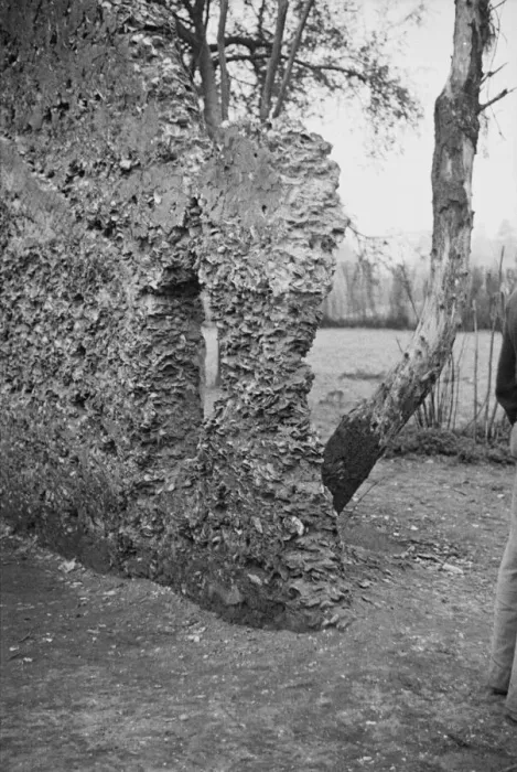 Framed Print : Possibly: Tabby construction, ruins of supposed Spanish mission, St. Marys, Georgia, 1936. Creator: Walker Evans Framed Print : Possibly: Tabby construction, ruins of supposed Spanish mission, St. Marys, Georgia, 1936. Creator: Walker Evans
