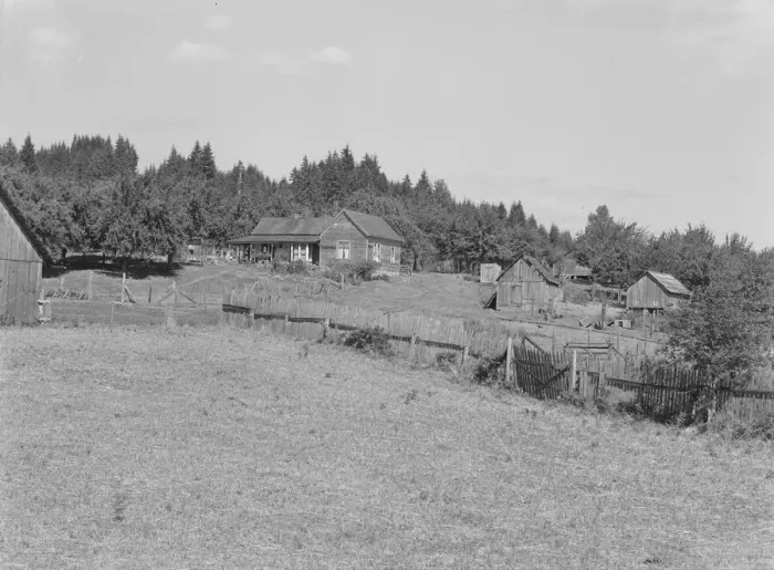 Framed Print : Possibly: Western Washington subsistence farm, whittled out of the stumps, Grays Harbor County, 1939 Creator: Dorothea Lange Framed Print : Possibly: Western Washington subsistence farm, whittled out of the stumps, Grays Harbor County, 1939 Creator: Dorothea Lange
