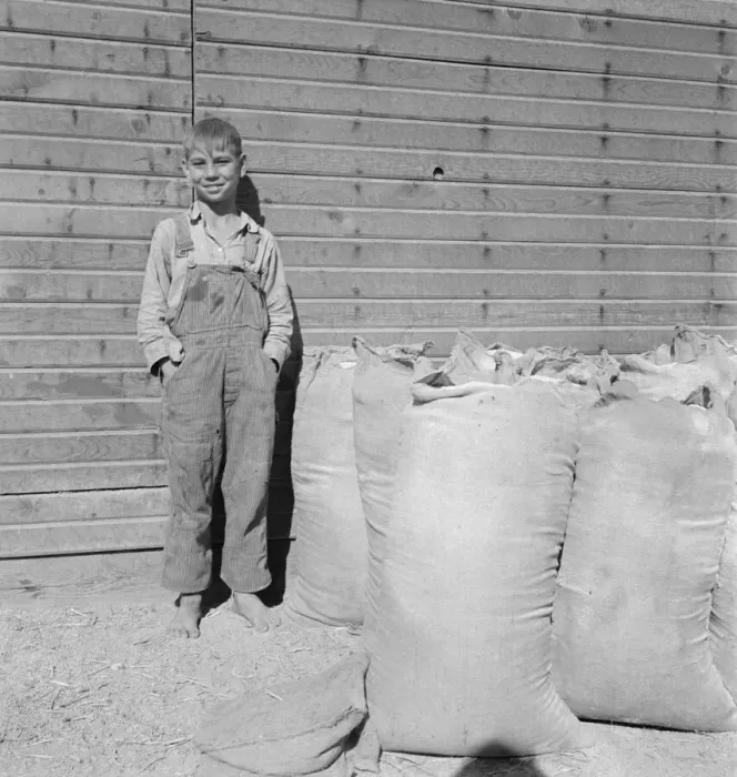 Framed Print : Possibly: One of the younger Cleaver boys on new farm in Malheur County, Oregon, 1939. Creator: Dorothea Lange Framed Print : Possibly: One of the younger Cleaver boys on new farm in Malheur County, Oregon, 1939. Creator: Dorothea Lange