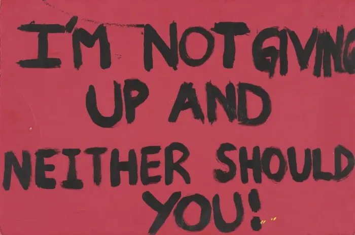 Framed Print : Poster from Womens March on Washington with I m not giving up, 2017 Framed Print : Poster from Womens March on Washington with I m not giving up, 2017