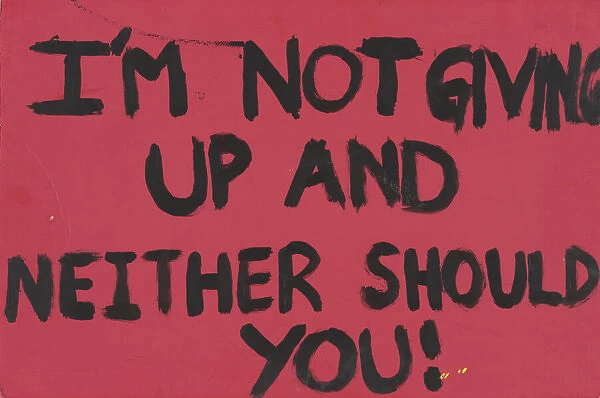 Poster from Womens March on Washington with I m not giving up, 2017