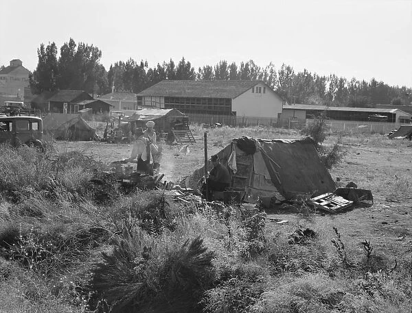One of the forty potato camps in open field... Malin, Klamath County, Oregon, 1939. Creator: Dorothea Lange