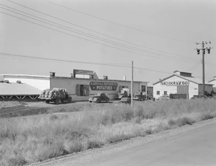 Framed Print : Potato sheds during season, across the road from the... Tulelake, Siskiyou County, California, 1939 Creator: Dorothea Lange Framed Print : Potato sheds during season, across the road from the... Tulelake, Siskiyou County, California, 1939 Creator: Dorothea Lange