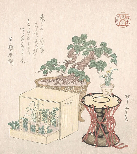 Potted Pine Tree, Drum and Seven Herbs Planted in a Box, 18th-19th century