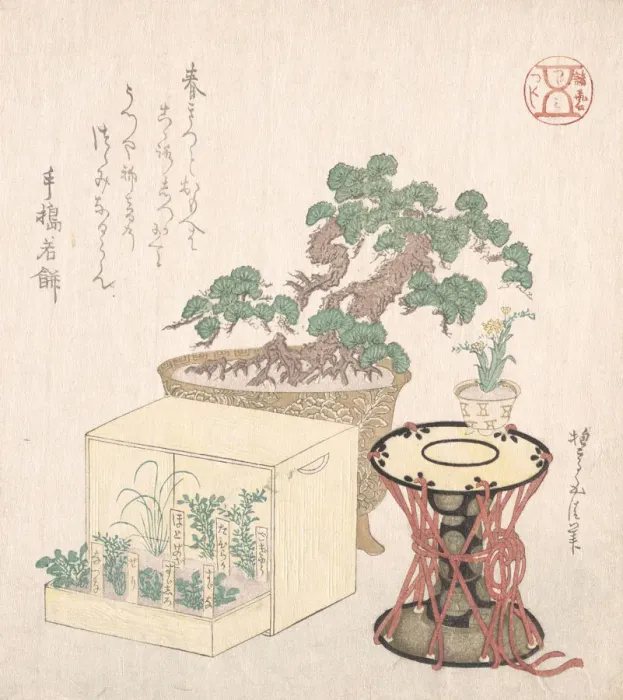 Framed Print : Potted Pine Tree, Drum and Seven Herbs Planted in a Box, 18th-19th century Framed Print : Potted Pine Tree, Drum and Seven Herbs Planted in a Box, 18th-19th century