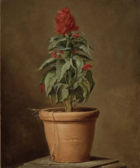 Framed Print : A Potted Plant, mid-late 18th century. Creator: Henri Horace Roland de la Porte Framed Print : A Potted Plant, mid-late 18th century. Creator: Henri Horace Roland de la Porte