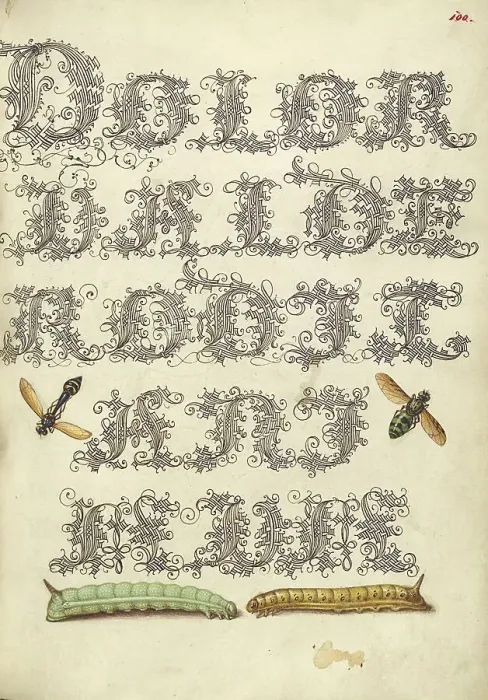 Framed Print : Potter Wasp, Hover Fly, and Caterpillars, 1561-1562; illumination added 1591-1596. Creator: Joris Hoefnagel Framed Print : Potter Wasp, Hover Fly, and Caterpillars, 1561-1562; illumination added 1591-1596. Creator: Joris Hoefnagel