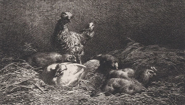 Poules, 1867. Creator: Charles Emile Jacque
