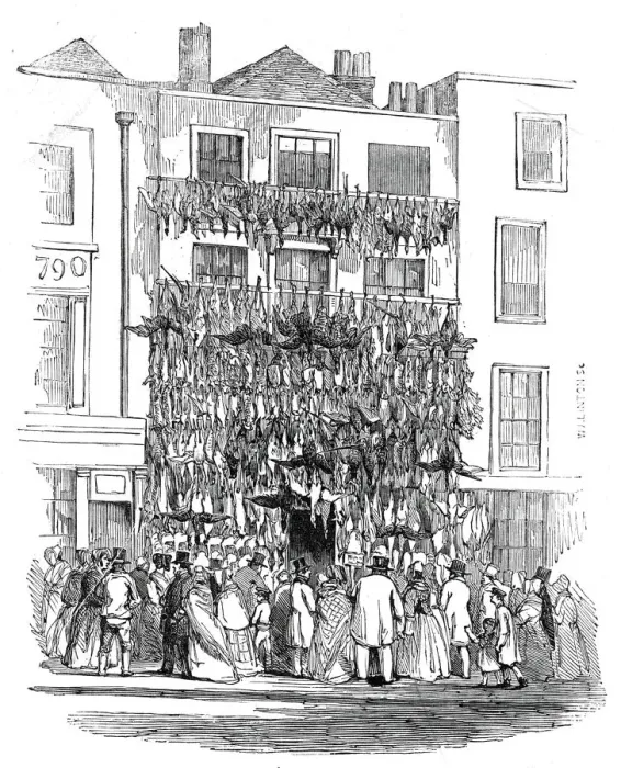 Framed Print : Poulterers shop, Holborn-Hill, 1845. Creator: W. J. Linton Framed Print : Poulterers shop, Holborn-Hill, 1845. Creator: W. J. Linton