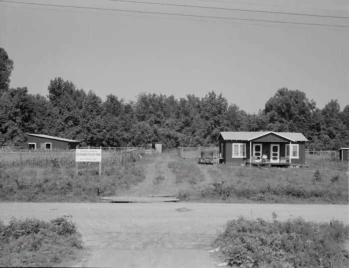 Framed Print : The poultry unit of the Delta cooperative farm, Hillhouse, Mississippi, 1937. Creator: Dorothea Lange Framed Print : The poultry unit of the Delta cooperative farm, Hillhouse, Mississippi, 1937. Creator: Dorothea Lange
