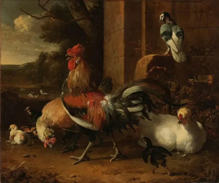 Framed Print : A Poultry Yard, c.1660-c.1665. Creator: Melchior d'Hondecoeter Framed Print : A Poultry Yard, c.1660-c.1665. Creator: Melchior d'Hondecoeter