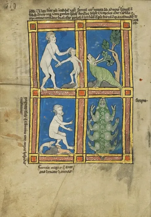 Framed Print : Praesillus; A Hairy Woman of the Island of Gorgade; A Scorpion; De Natura Avium... 1277 or after. Creator: Unknown Framed Print : Praesillus; A Hairy Woman of the Island of Gorgade; A Scorpion; De Natura Avium... 1277 or after. Creator: Unknown