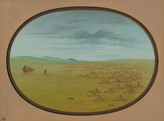 Framed Print : Prairie Dog Village, 1861 / 1869. Creator: George Catlin Framed Print : Prairie Dog Village, 1861 / 1869. Creator: George Catlin