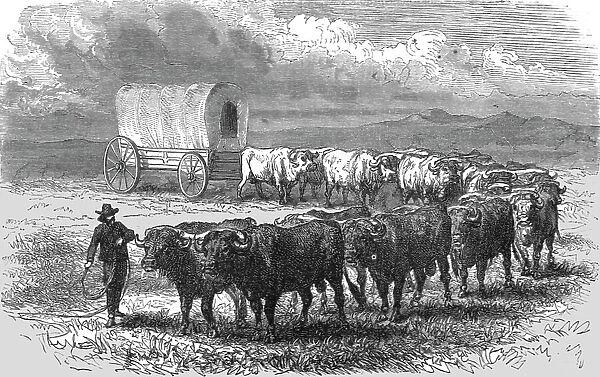 The 'Prairie Schooner'. -- Emigrant wagon on the plains; Ocean to Ocean, the Pacific... 1875. Creator: Frederick Whymper. The 'Prairie Schooner'. -- Emigrant wagon on the plains; Ocean to Ocean, the Pacific... 1875