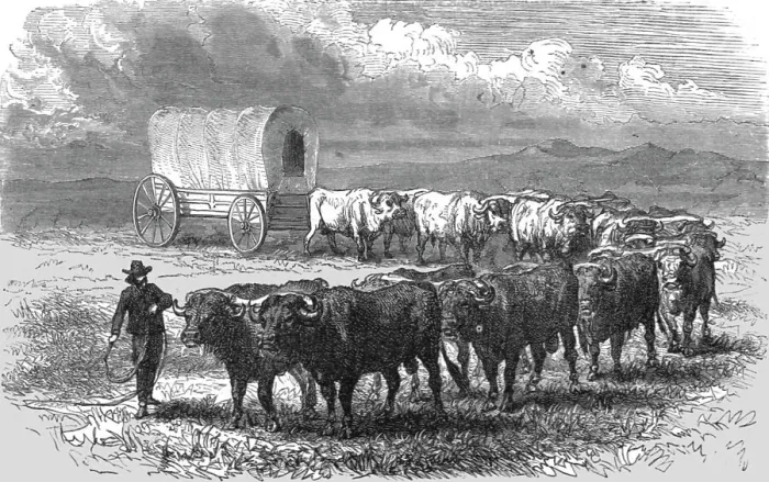Framed Print : The Prairie Schooner'. -- Emigrant wagon on the plains; Ocean to Ocean, the Pacific... 1875. Creator: Frederick Whymper. The Prairie Schooner'. -- Emigrant wagon on the plains; Ocean to Ocean, the Pacific... 1875 Framed Print : The Prairie Schooner'. -- Emigrant wagon on the plains; Ocean to Ocean, the Pacific... 1875. Creator: Frederick Whymper. The Prairie Schooner'. -- Emigrant wagon on the plains; Ocean to Ocean, the Pacific... 1875