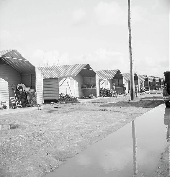 Prefabricated steel dwellings, Farm Security Administration, Farmersville, California, 1939. Creator: Dorothea Lange
