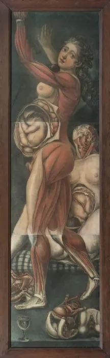 Framed Print : Two pregnant women Framed Print : Two pregnant women