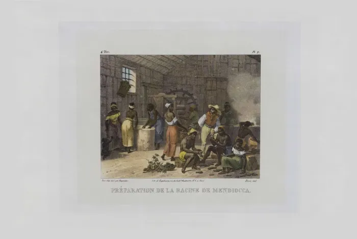 Framed Print : Preparation of mandioca roots. From Malerische Reise in Brasilien, 1830-1835 Framed Print : Preparation of mandioca roots. From Malerische Reise in Brasilien, 1830-1835
