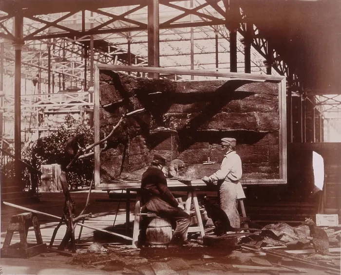 Framed Print : Preparing Case for Marine Objects, Crystal Palace, Sydenham, 1852-1854 Framed Print : Preparing Case for Marine Objects, Crystal Palace, Sydenham, 1852-1854