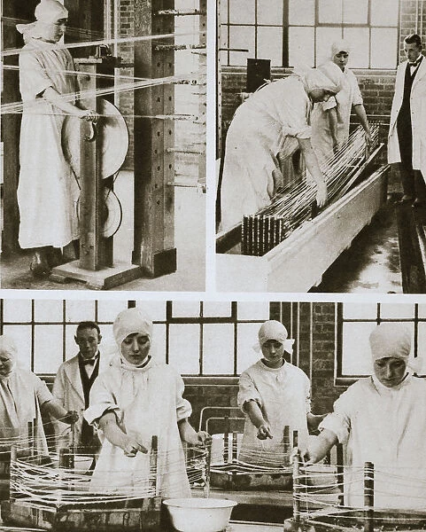Preparing cat gut at the London Hospitals own factory, London, 20th century. Artist