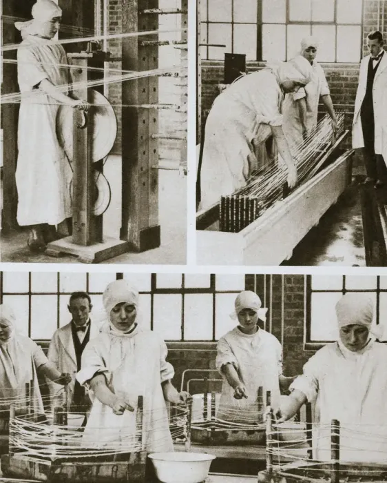 Framed Print : Preparing cat gut at the London Hospitals own factory, London, 20th century. Artist Framed Print : Preparing cat gut at the London Hospitals own factory, London, 20th century. Artist