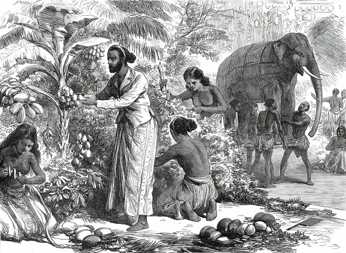 Framed Print : Preparing the decorations at Colombo, Ceylon, for the Royal Visit, from a sketch by one... 1876. Creator: Unknown Framed Print : Preparing the decorations at Colombo, Ceylon, for the Royal Visit, from a sketch by one... 1876. Creator: Unknown